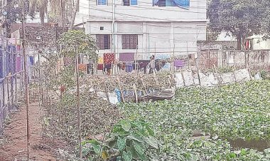 হবিগঞ্জে পুকুর ভরাটের ঘটনায় আরোপ হচ্ছে ক্ষতিপূরণ