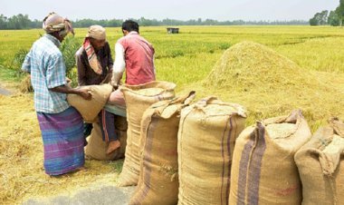 ধান-আতপ সংগ্রহে গতি, পিছিয়ে সেদ্ধ চাল