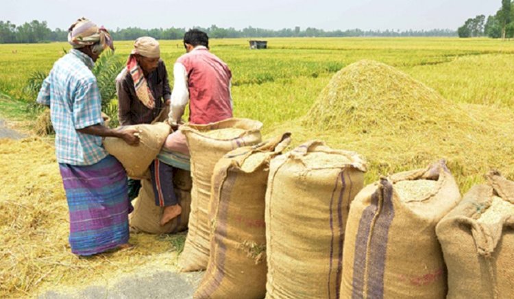 ধান-আতপ সংগ্রহে গতি, পিছিয়ে সেদ্ধ চাল
