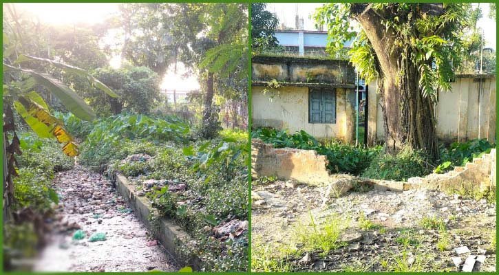 পিটিআইয়ে নেশাখোরদের দৌরাত্ম