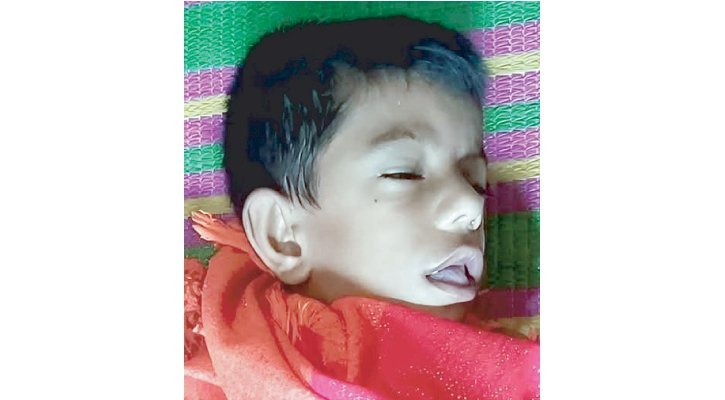 প্লাস্টিকের মাছ তুলতে গিয়ে জলাশয়ে ডুবে শিশুর মৃত্যু