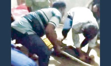 গ্রামের সালিশে ডাব ‘চুরির’ ক্ষতিপূরণ ২ লাখ টাকা